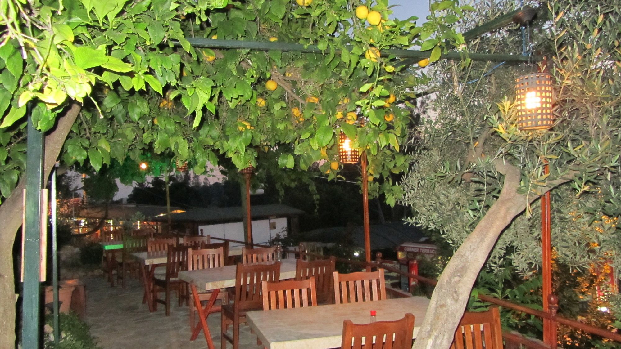 St. Nicholas Pension Patara Exterior foto